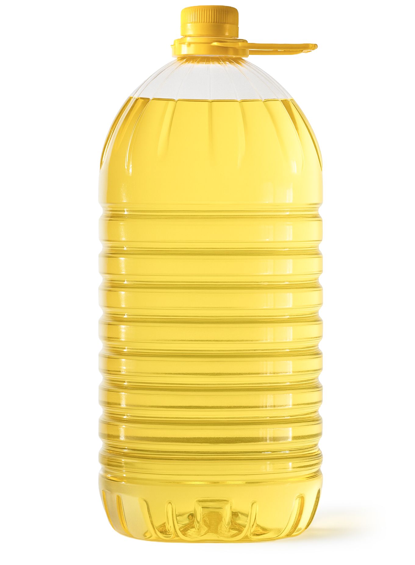 5 L ovaalne pudel